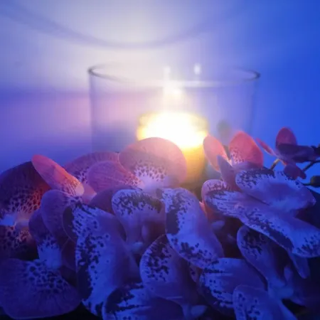 Mya Luxury And Wellness
